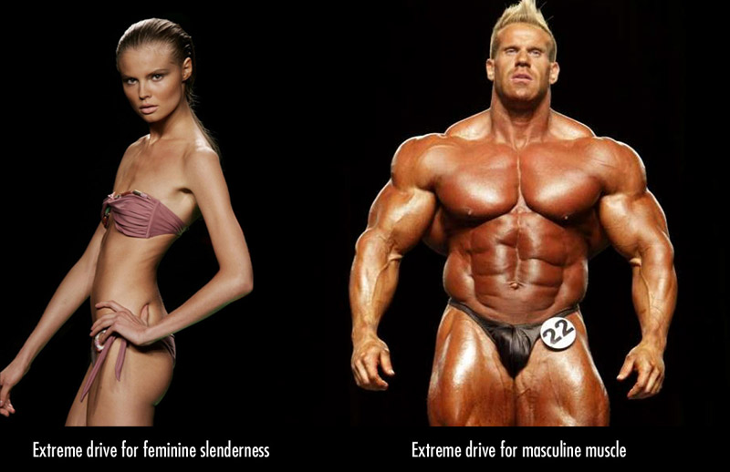 female slenderness vs masculine muscularity (and the ideal female body / physique)