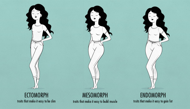 Body Type Diet Endomorph Female