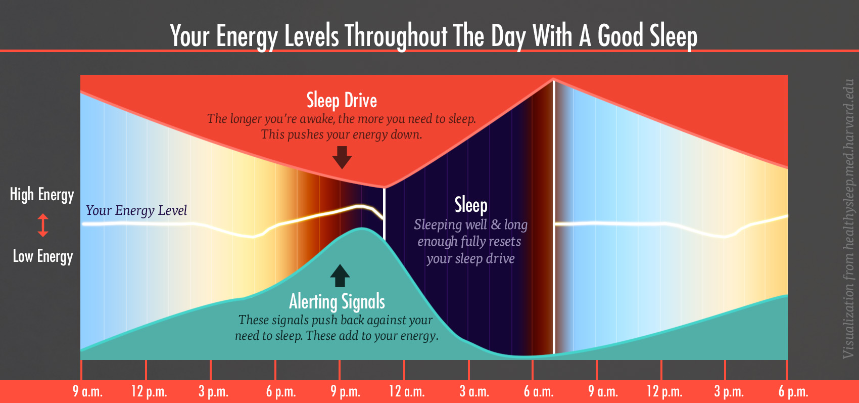 energy-levels-sleep-drive-alert-chart-1-bony-bombshell