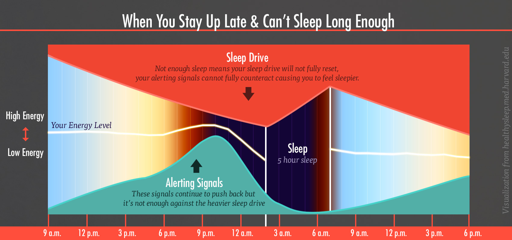 energy-levels-sleep-drive-alert-chart-2-bony-bombshell