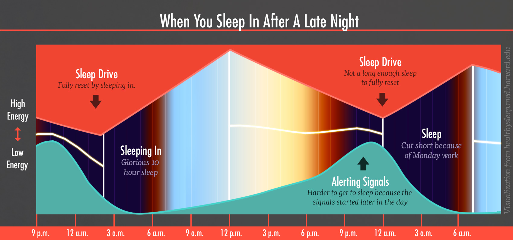 energy-levels-sleep-drive-alert-chart-3-bony-bombshell