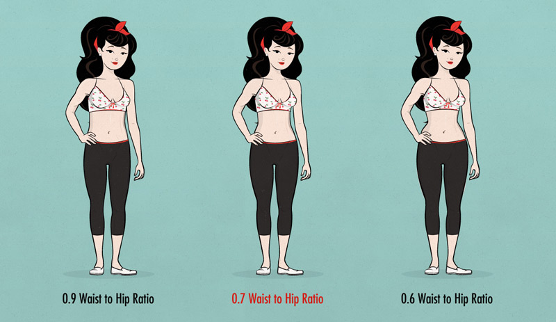 most attractive female body shape