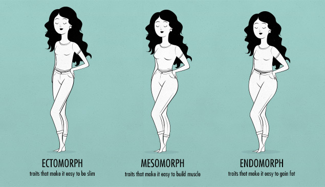 female body shapes & somatotypes—female ectomorph, endomorph, mesomorph