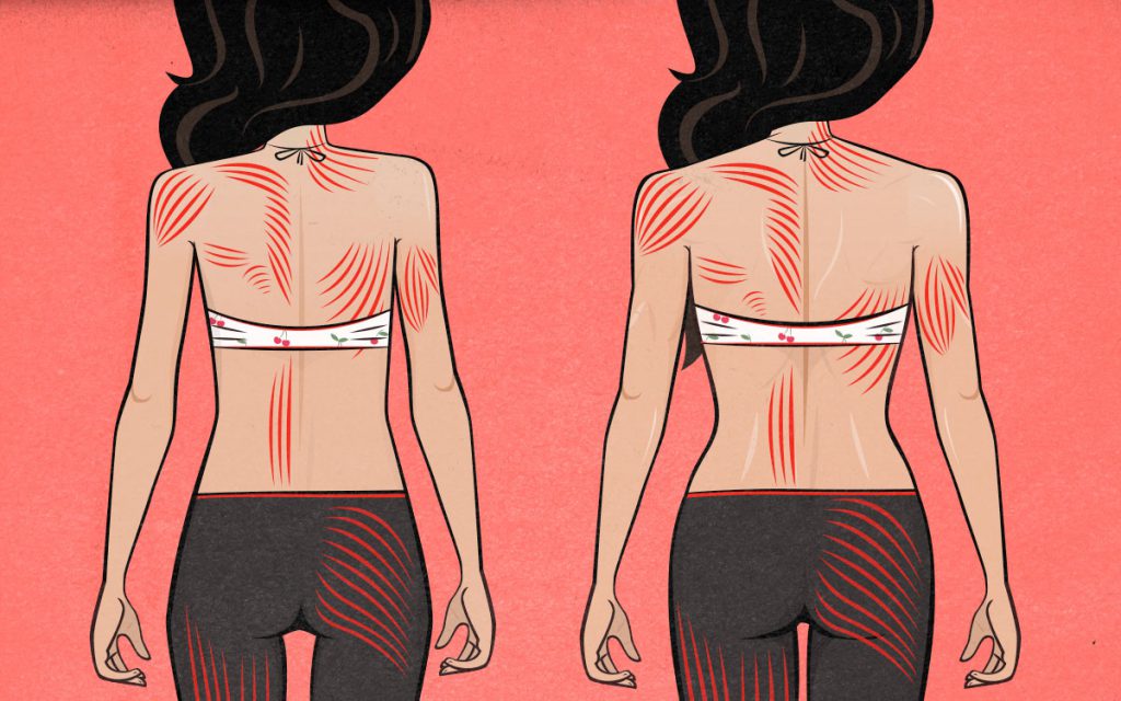 The Best Muscle Building Exercises For Women Bony To Bombshell