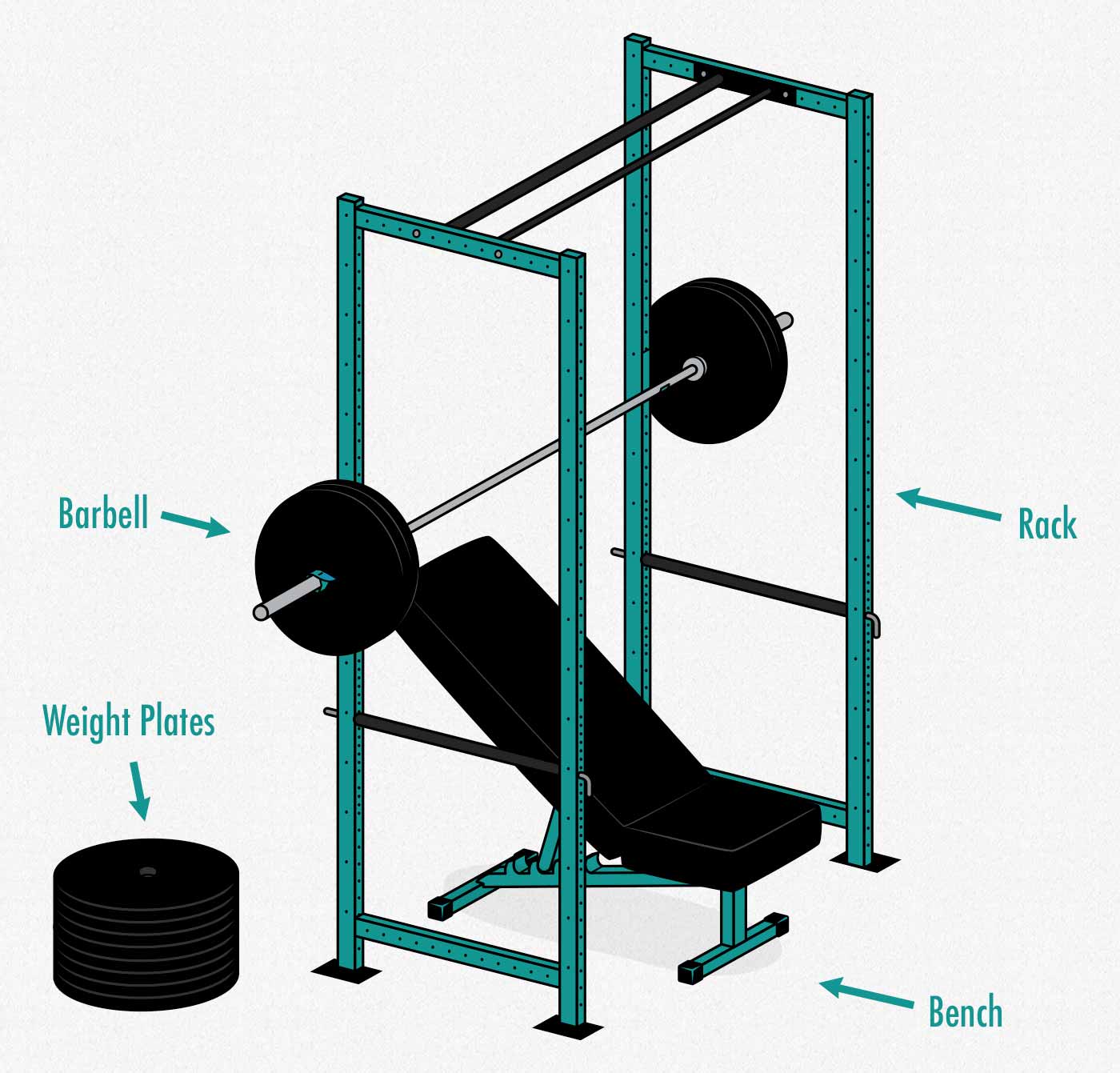 Diagram showing how to build a barbell home gym for building muscle for women.