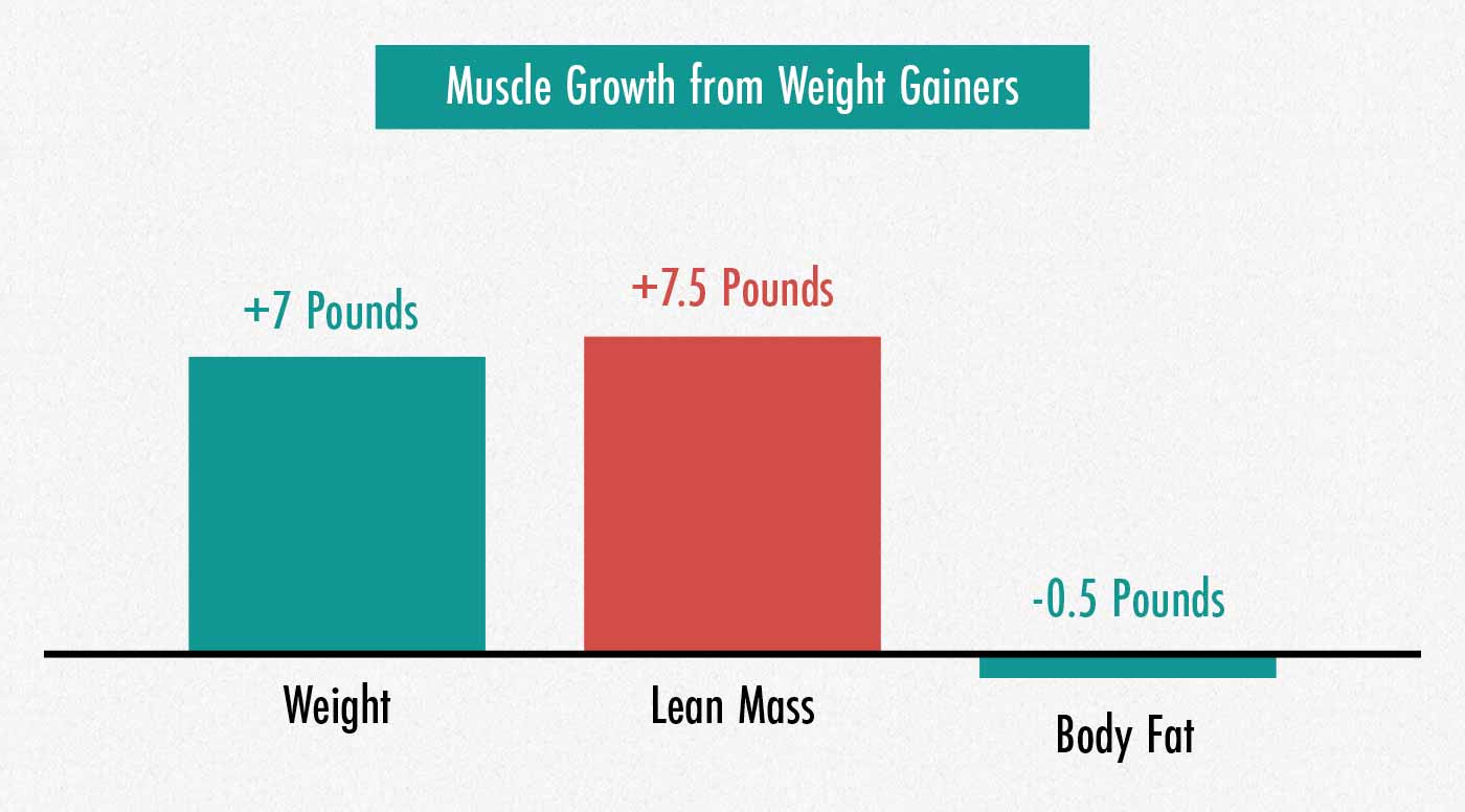 Results of a study looking at weight gainer supplements for muscle growth.