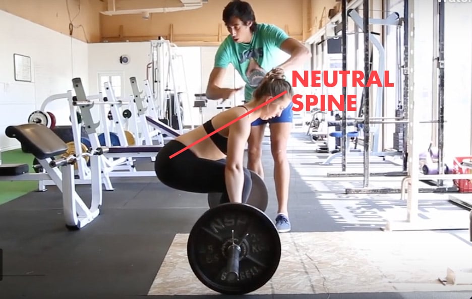 Seated Cable Row With Neutral Grip: Overview, How To Do It, & Tips — Bony  to Bombshell